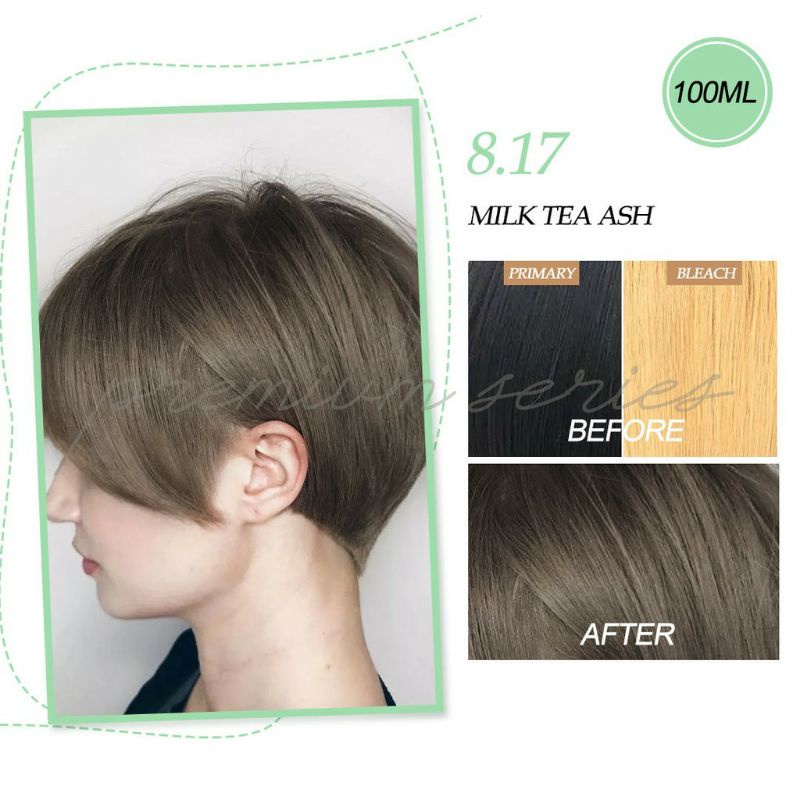 BREMOD PREMIUM hair color 100ml (0.00 to 9.3) PART 1 dust, ash blonde