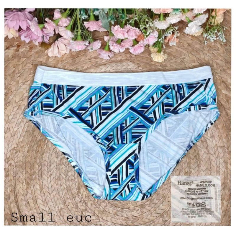 Small Hanes hip hugher underwear B5 Shopee Philippines