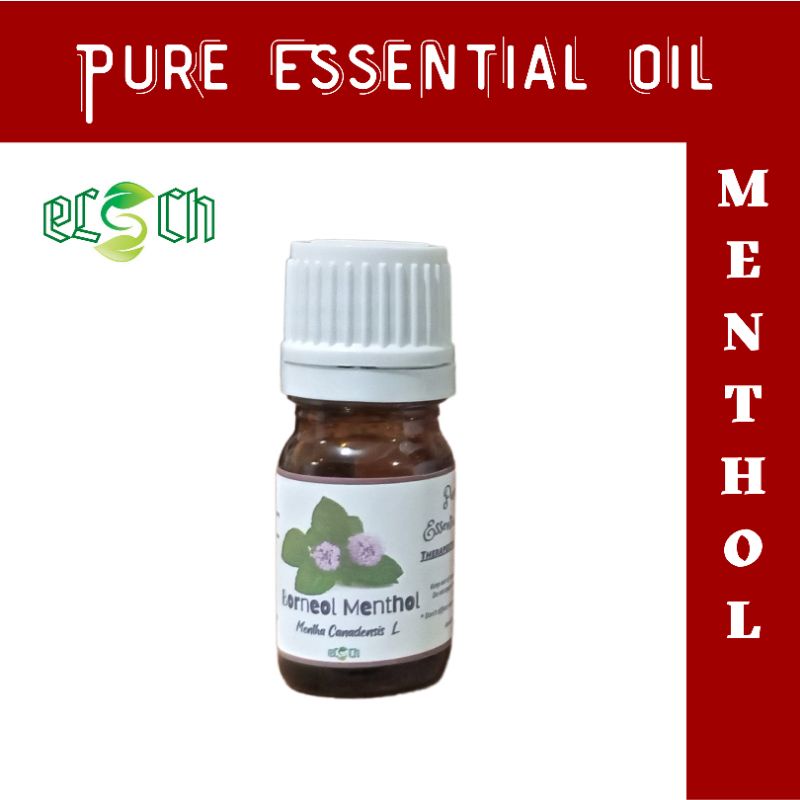 Borneol Menthol Camphor Pure Essential OilTopical Pain Reliever