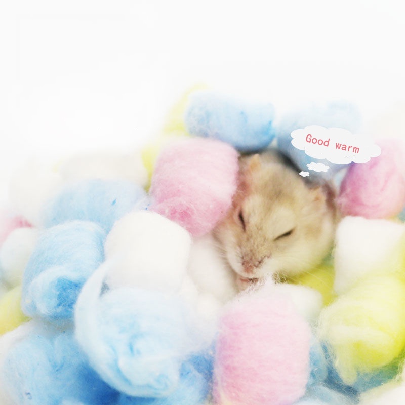 100*Hamster Bedding Safe Bedding Hamster Bedding bear skim cotton