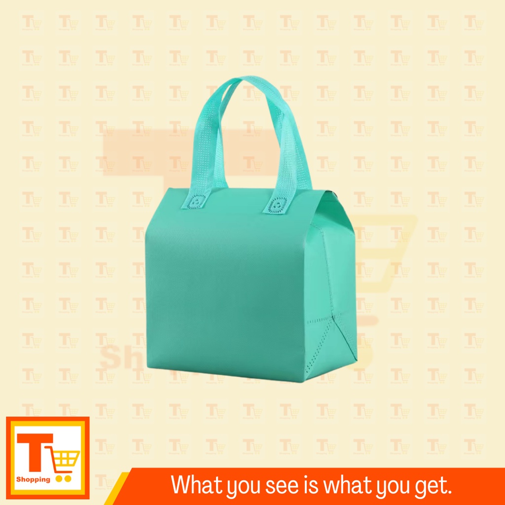 5PCS THERMAL BAG INSULATED PLAIN LUNCH BAG FOOD STORAGE BAG Shopee