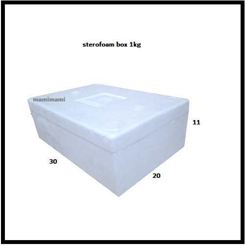 Styrofoam box 1kg Cork styrofoam 1kg Container frozen food styrofoam