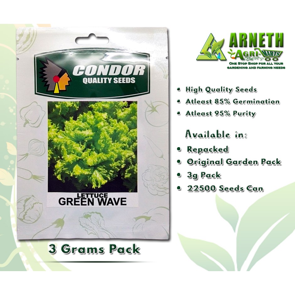LOOSE LEAF LETTUCE SEEDS / GREEN ICE LETTUCE / GREEN WAVE VARIETY (3 GRAMS) Shopee Philippines