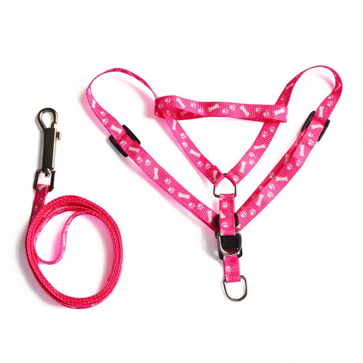 Cat Leash Dog Leash Pet Leash Puppy Leash Kitty Adjustable Nylon Leash