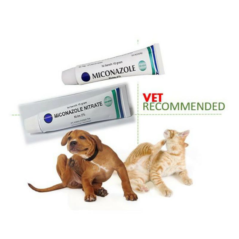 Miconazole Nitrate Ointment 10g Wound Fungus Cat Dog Infection Non
