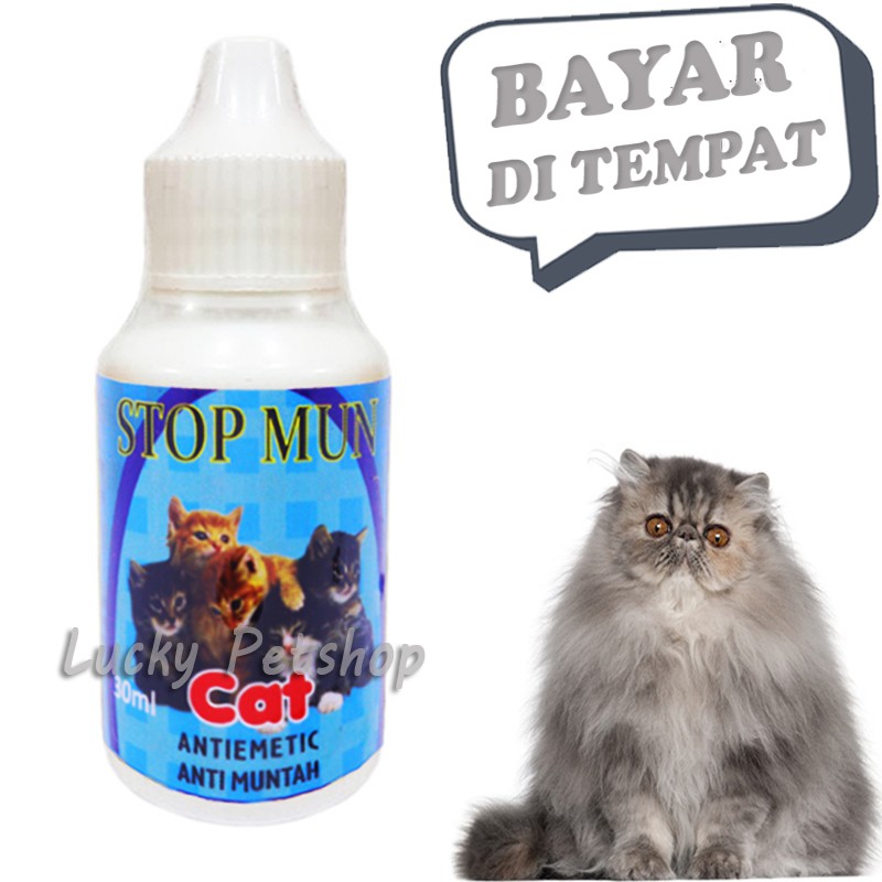 Cat Vomiting Medicine STOP MUN Stomach Pain Shopee Philippines