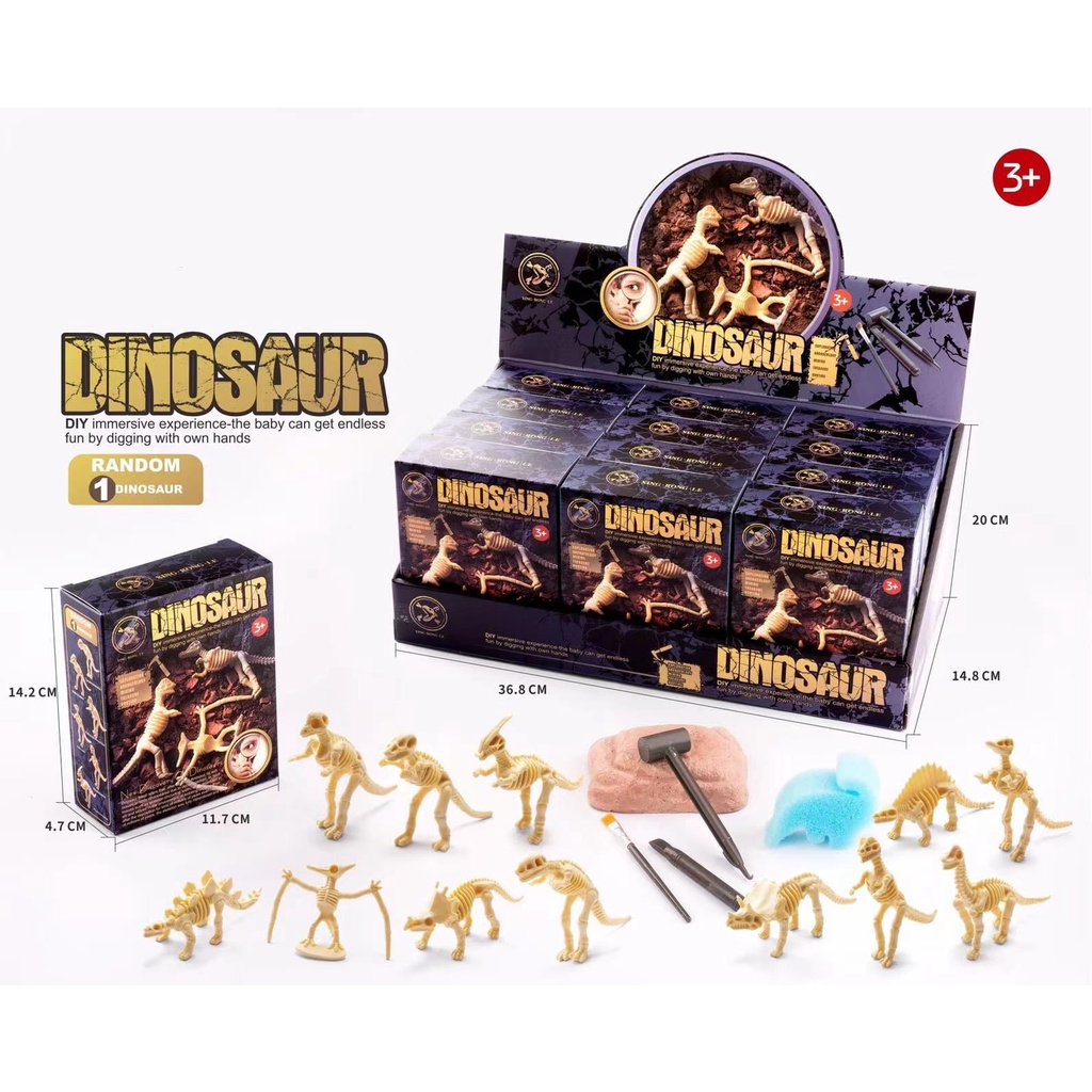 Taiyo Children's Toys Dino Gypsum Mini Fossil Ancient Creature Dinosaur