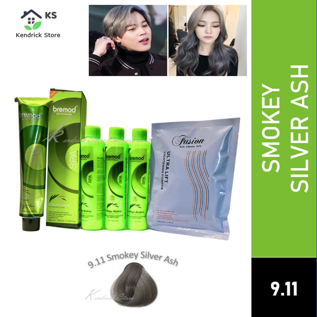 Bremod Hair Color Package (Smokey Silver Ash 9.11) Beauty Hair Care