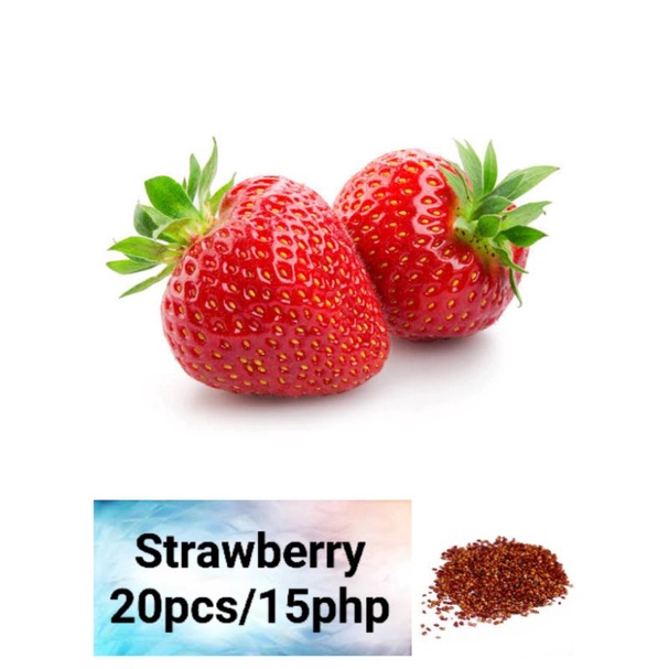 Strawberry Seeds (20pcs) Shopee Philippines