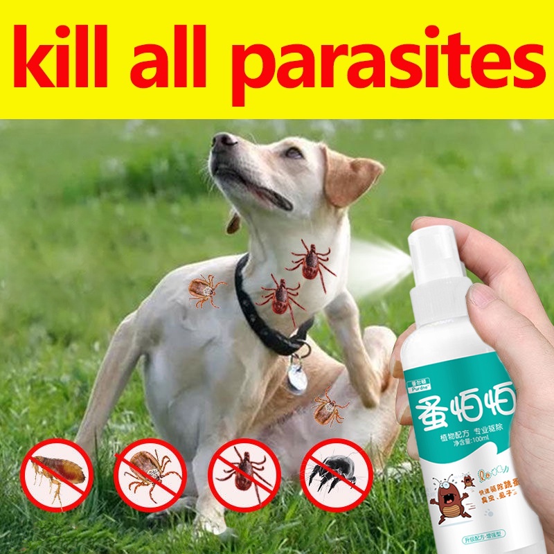 Tick and Flea Spray Remover 100ml Suitable for Dogs and Cats Plant