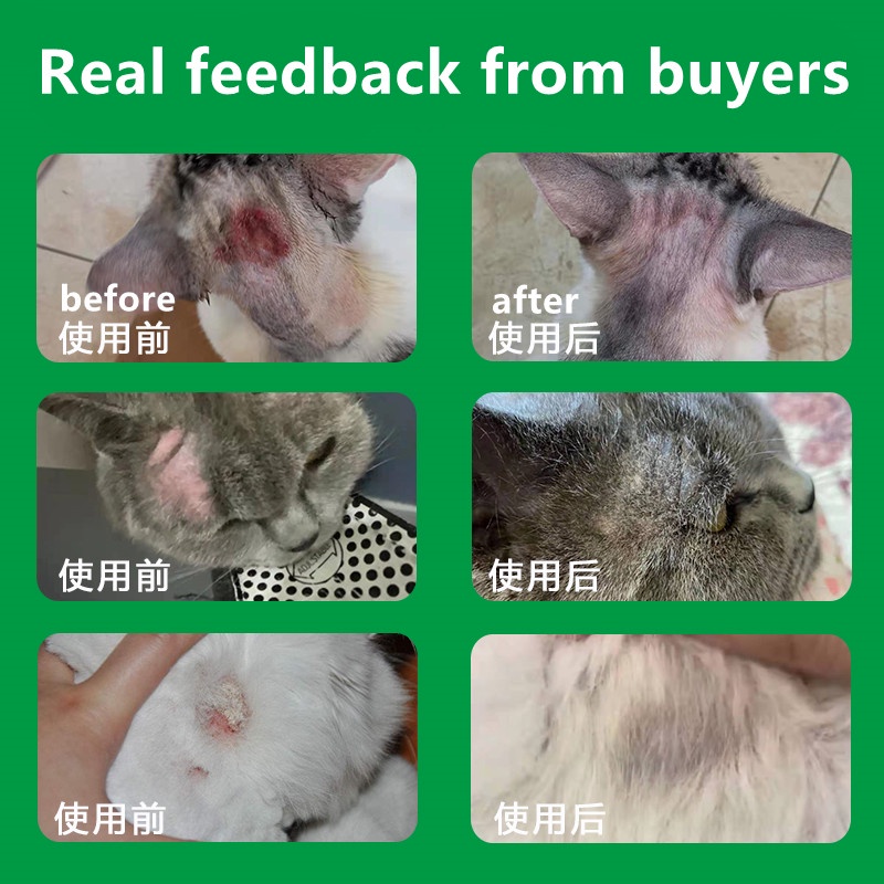 Ringworm Topical For Cat Skin Diseases Fungal Infections Eczema