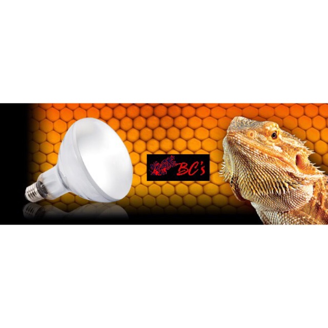 Exo terra SOLAR GLO / SUN SIMULATING BULB Shopee Philippines