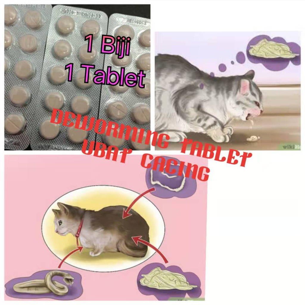 **FAST DELIVER** UBAT CACING KUCING & ANJING / DEWORMING TABLET FOR