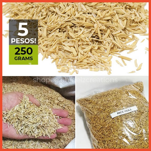 rice hulls rice husks soil mixture ipa ng palay substrate garden medium