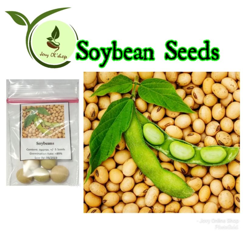 Soybeans Soya Seeds Shopee Philippines