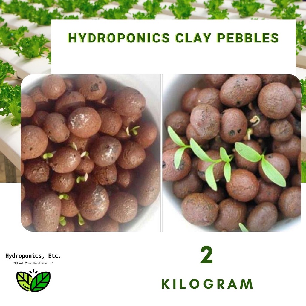 Hydroton Clay Balls (2kgs) Shopee Philippines
