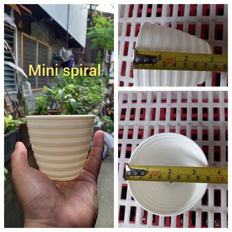 Mini Pots Bulk Order (100pcs) Shopee Philippines