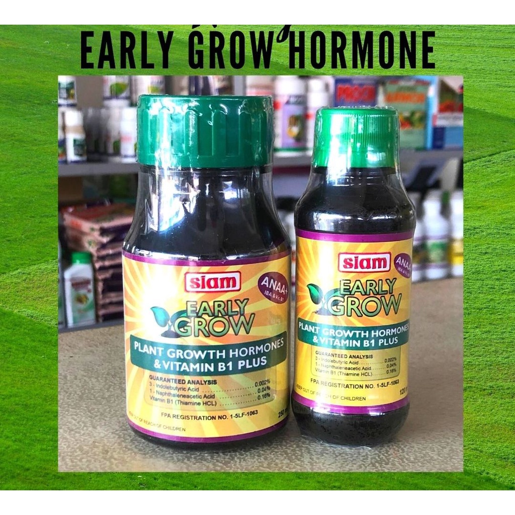 Siam EARLY GROW PLANT GROWTH HORMONE 100ml & 250ml Shopee Philippines
