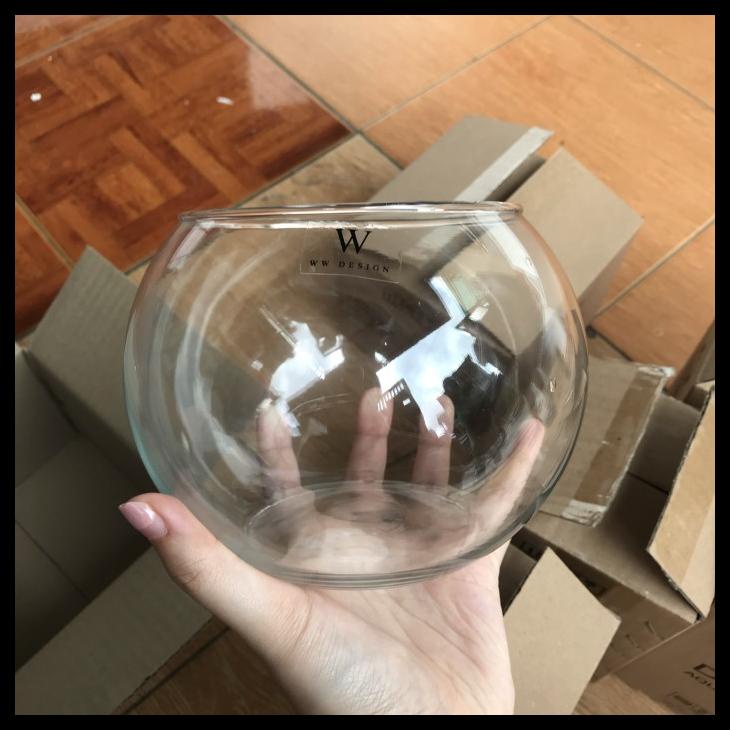 2 LITER Clear Glass Round Flower Vase Cute Round Glass Flower POT