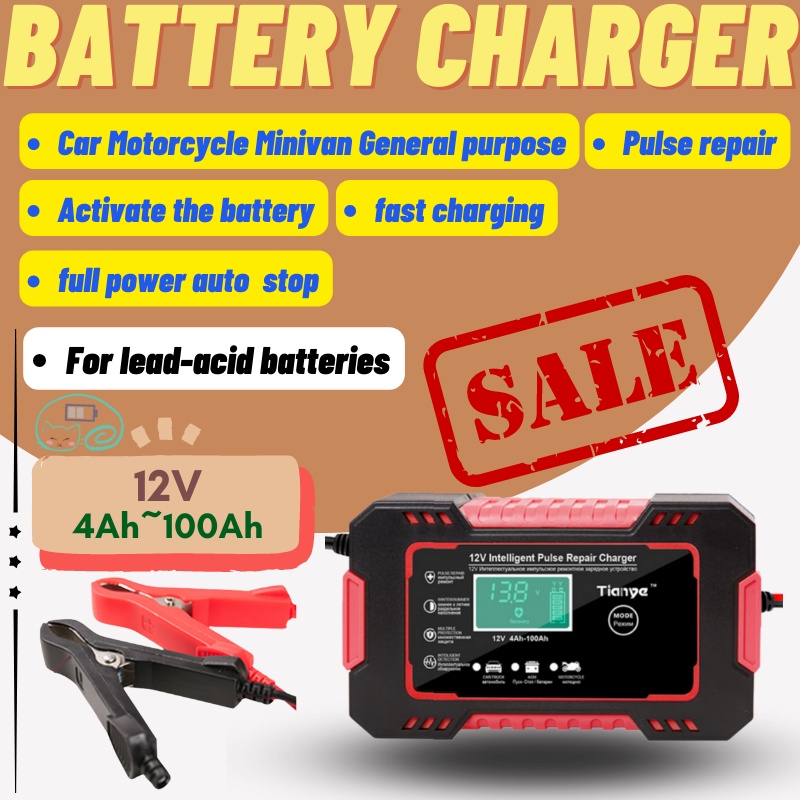 pulse repair battery charger Car EBike Motorcycle Minivan General
