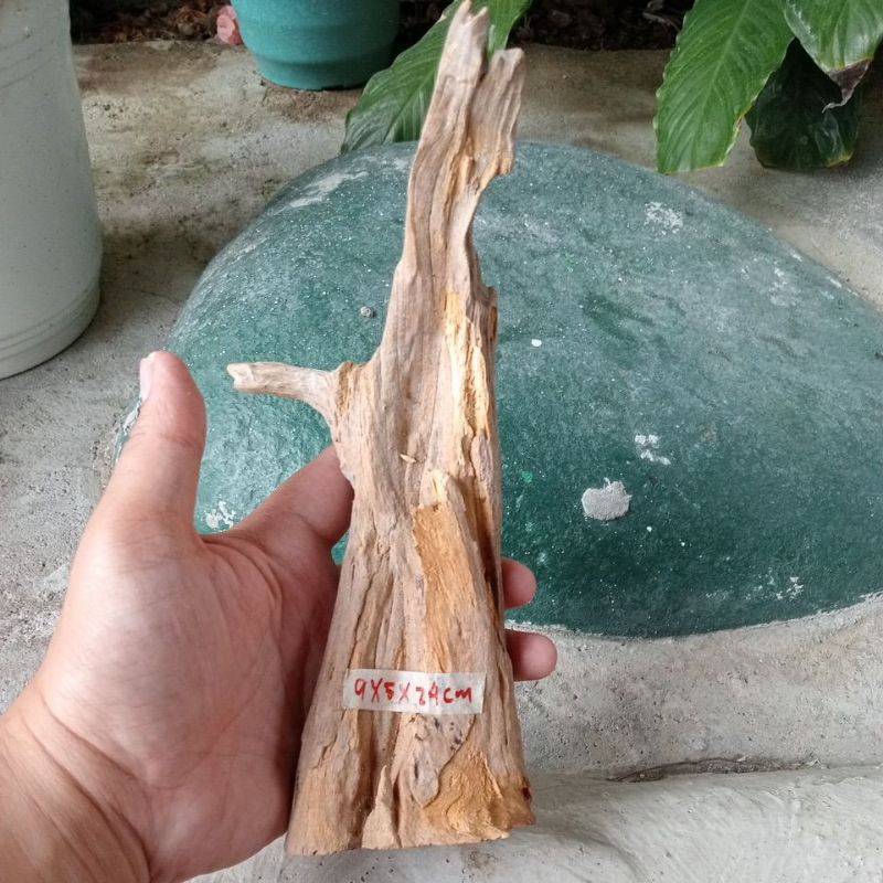 Driftwood (9x5x24 cm) Shopee Philippines