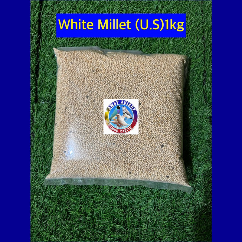 White Millet Bird Seed 1kg Shopee Philippines