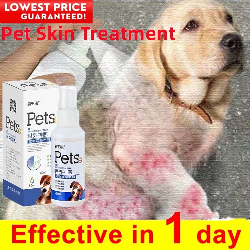 Pet Skin Treatment for dogs Galis Ng Aso Gamot Dog Skin Disease