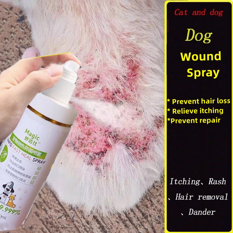 Wound spray for dogs cats Heal fresh wounds, Dry wounds, Fungal
