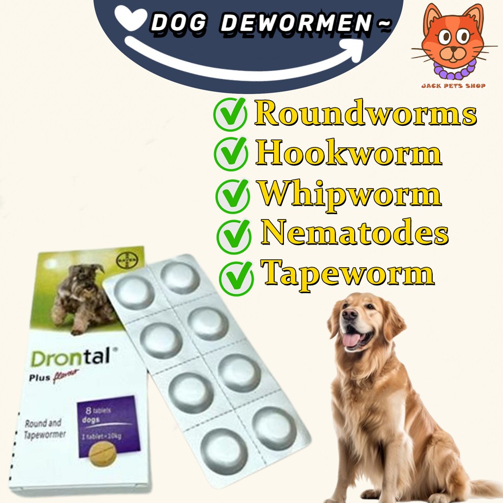 Drontal Plus Tablets for Dogs Tasty Dewormer 1 Tablet By Veterinarian DOG DEWORMER