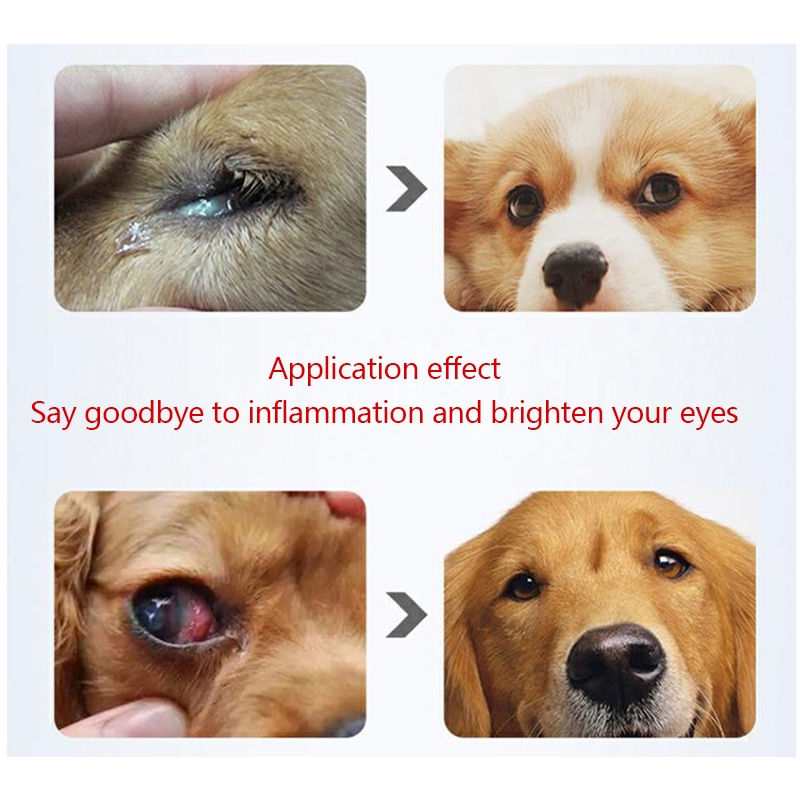 WUTUNS Gentamicin Eye Drops Pet Eye Drops For Cat Dogs Anti