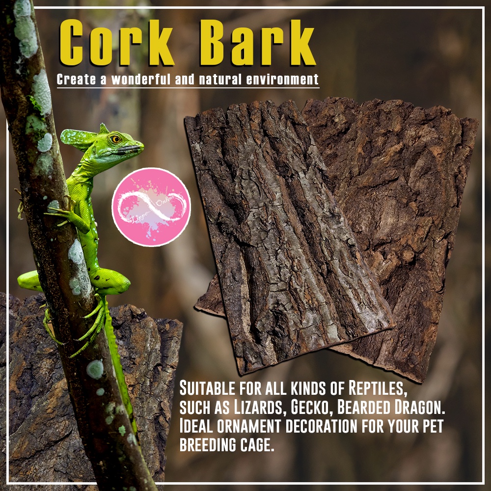 Natural Reptile Bark Cork Bark Hide for Isopods Reptiles Exotic Pets