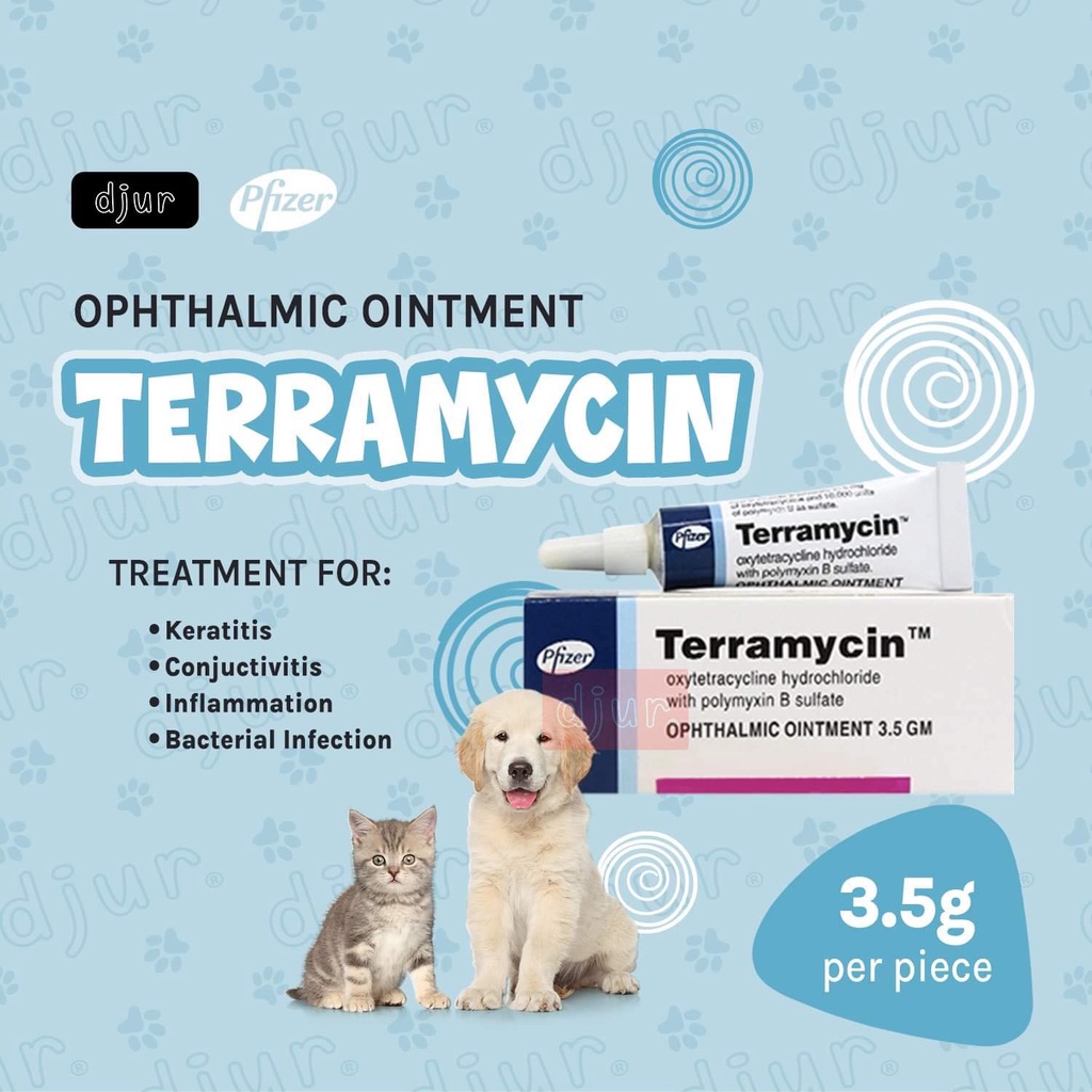 TERRAMYCIN 3.5g Ophthalmic Ointment for Dog Cat Conjunctiva for Pets