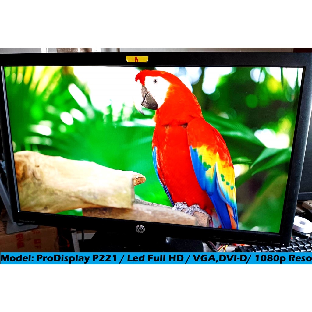 HP ProDisplay P221 21.5-inch LED Backlit Monitor with VGA and power