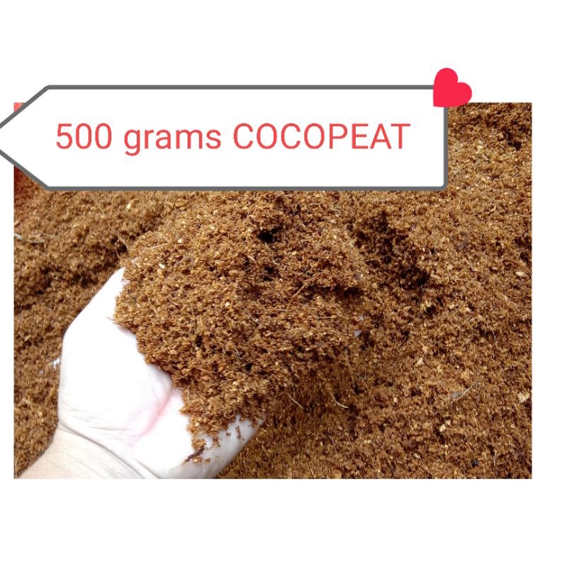 500 grams COCOPEAT Good Substrate for PLANTS TARANTULA PETS CAT