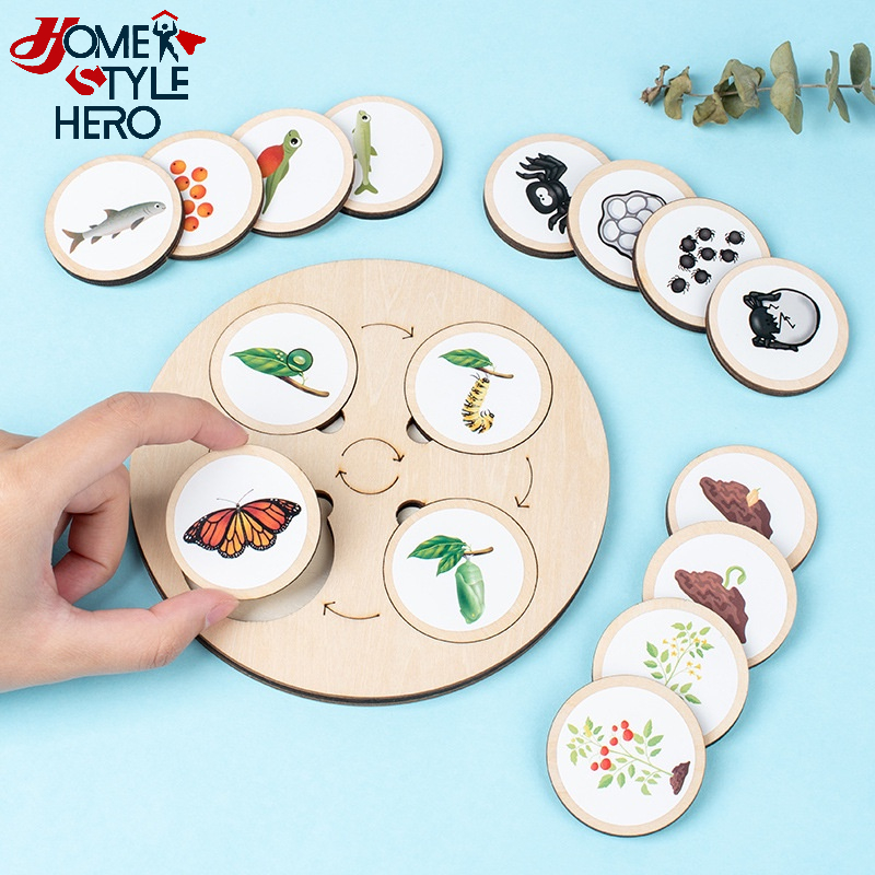 [SG Stock] Montessori Life Cycle Wooden Board Living Things Plants