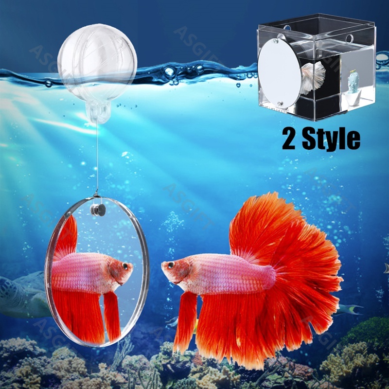 Acrylic Aquarium Betta Mirror Fish Tank Floating Mirror For Fish Betta Flowerhorn Cichlid