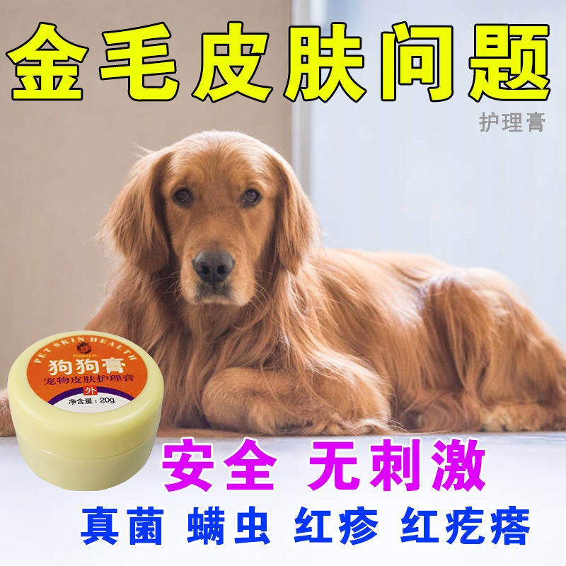 Dog Ointment For Dogs Ringworm Golden Hair Fungal Dermatitis Hair Loss