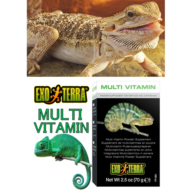 PT1861 EXO TERRA MULTI VITAMIN / MULTI VITAMIN POWDER SUPPLEMENT (70g