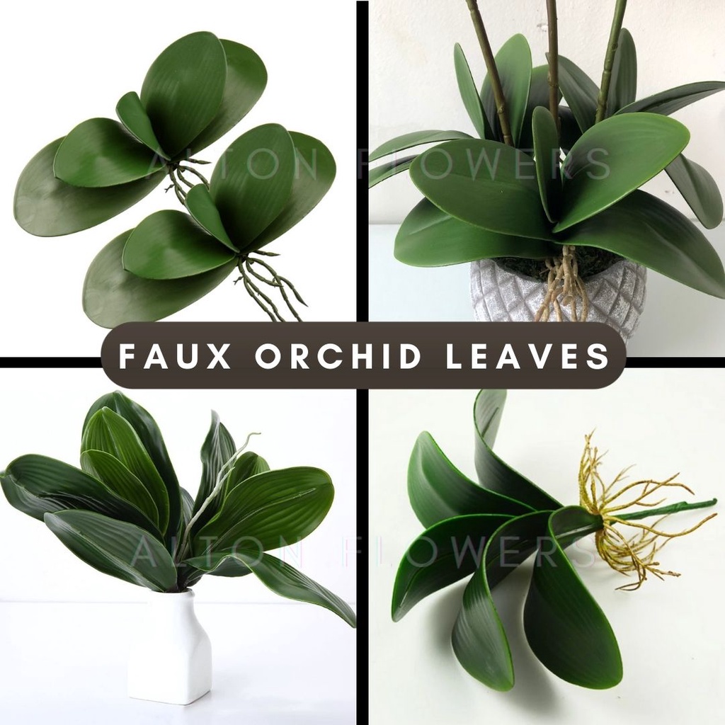 [SG Seller] Fast delivery Artificial Phalaenopsis Orchid Leaves, Plant, Real Touch Latex, Home