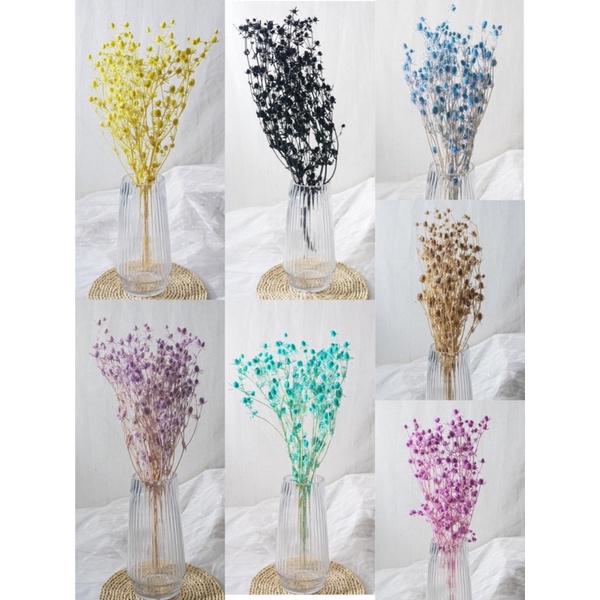 🇸🇬[SG Stock]Preserved Flowers Dried Flowers Preserved Sea Holly