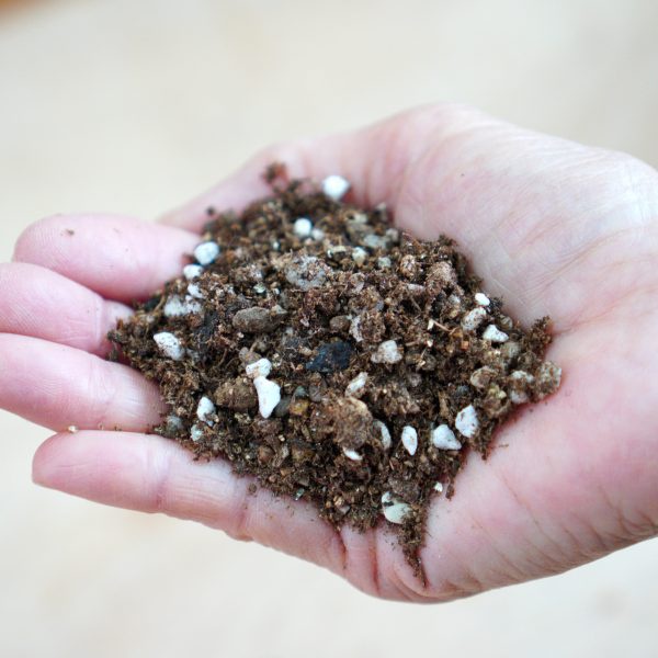 Succulents Soils mix 1 kg /Well Drainage/ Best for Succulents and