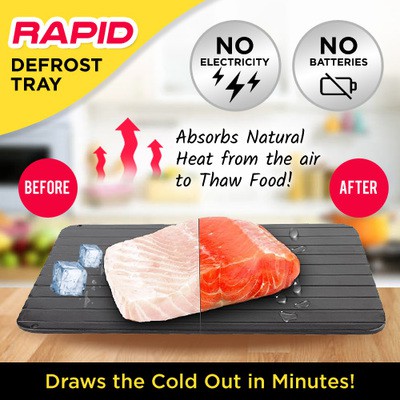 🇸🇬 Quick DeFrost Plate / Fast Thaw Tray/ DeThaw Frozen Food Seafood