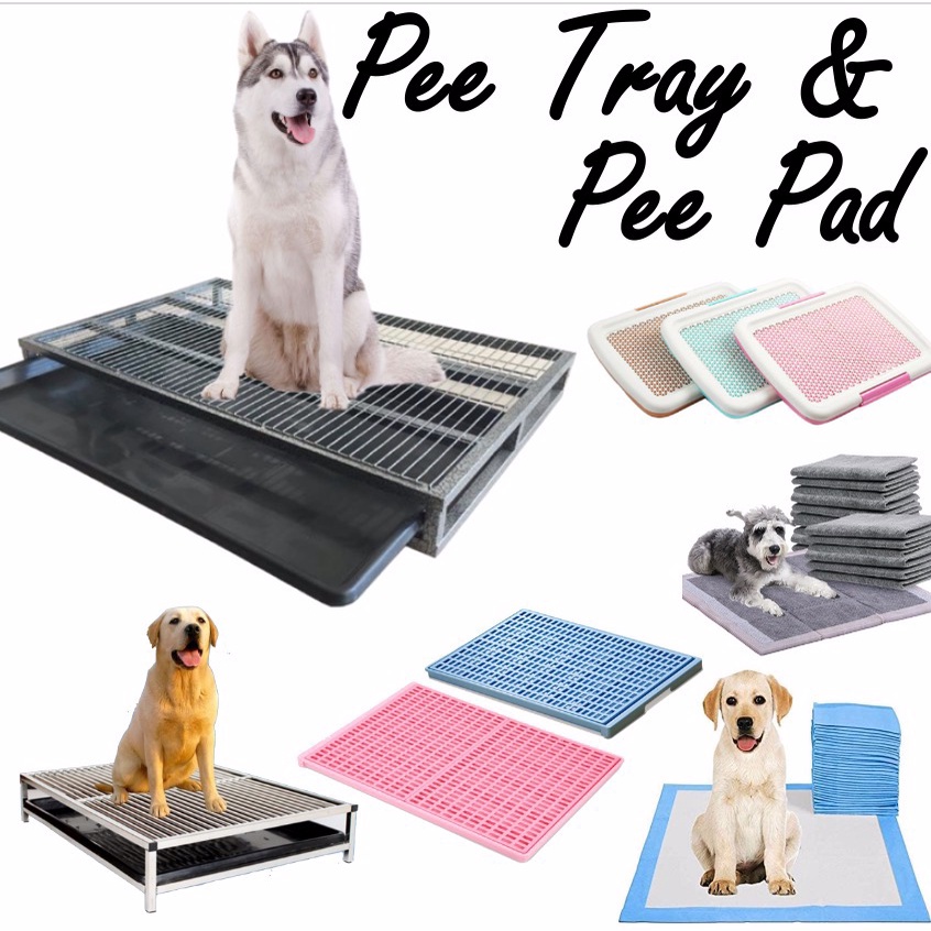 [VARIETY] Pee tray Dog Pee Tray / Dog Tray / Toilet tray / Puppy