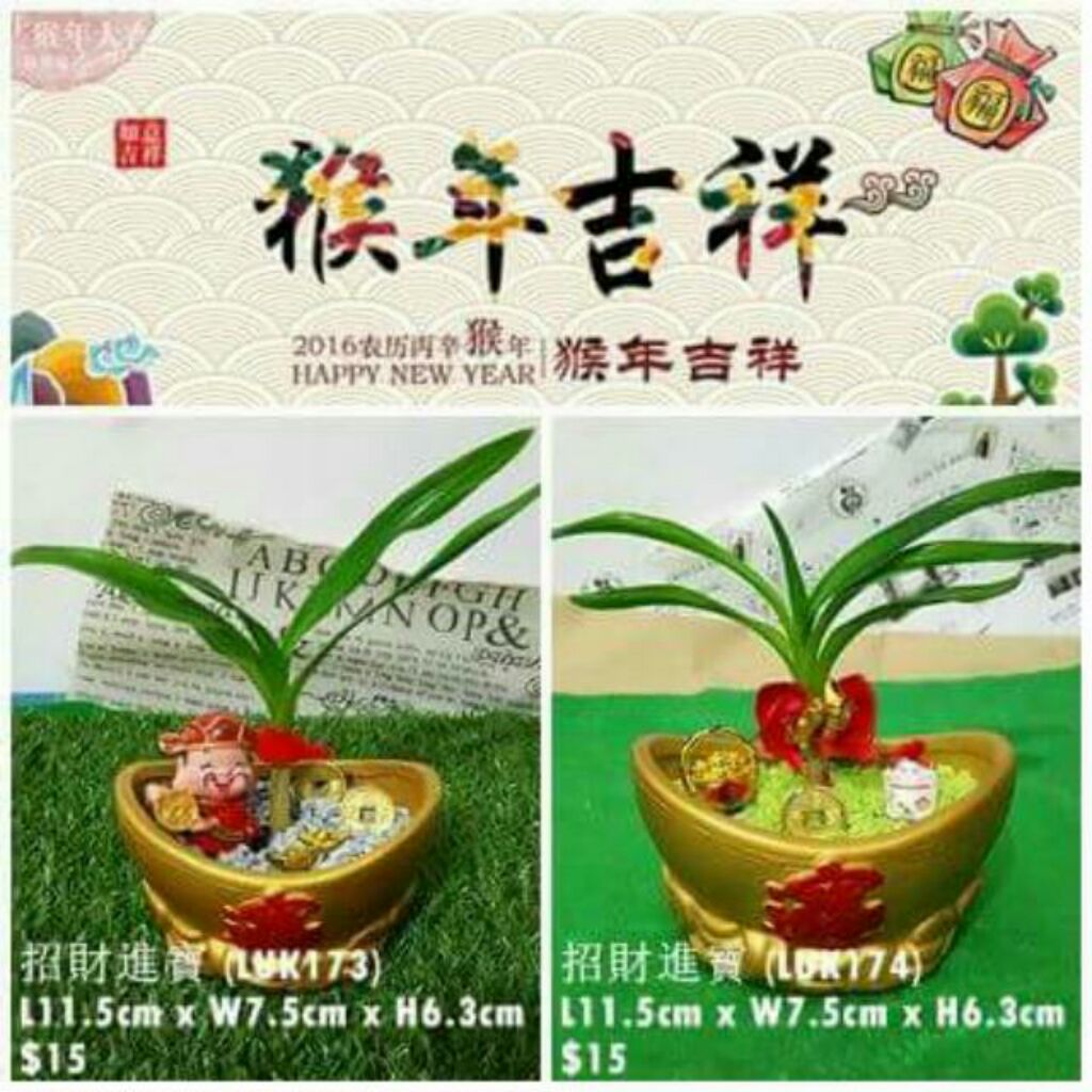 Garden of Prosperity pot CNY 2016 Shopee Singapore