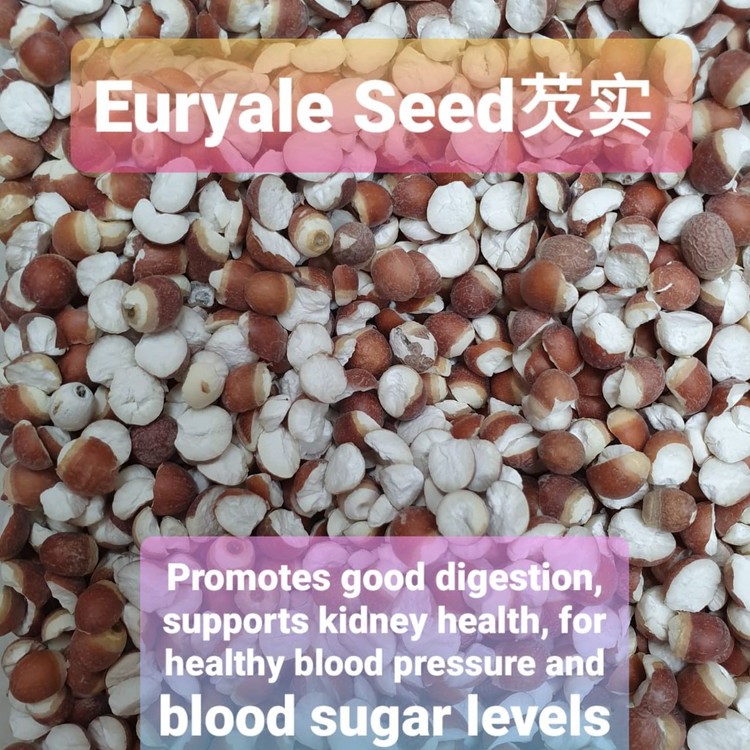 TCM Herb Euryale Seed 芡实 Qian Shi Shopee Singapore