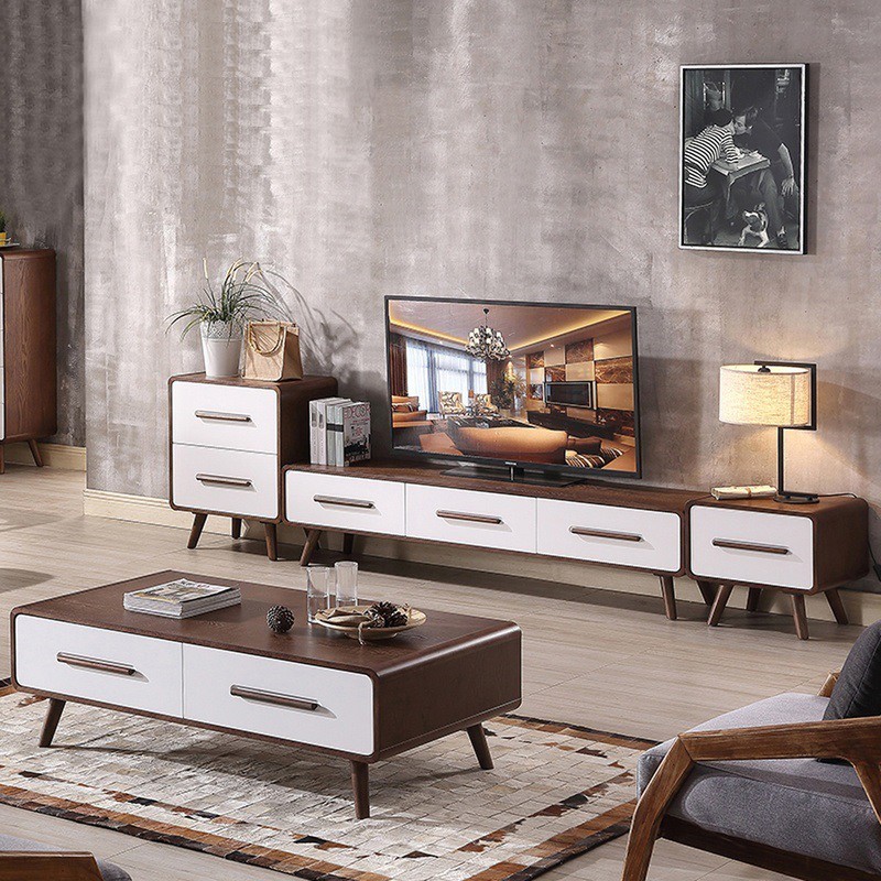 Premium Furniture Simple Minimalist Wooden TV Console + Coffee Table