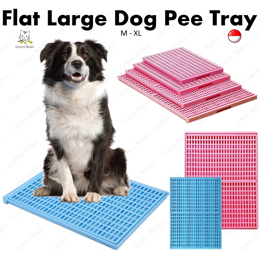 [SG STOKC] Dog Pee Tray / Flat Pee Tray Extra Large Size / Suitable For