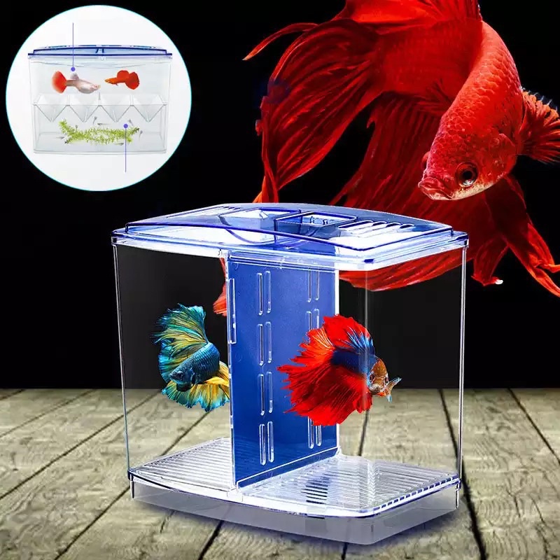 [SG Local] Fish tank Acrylic Fish Breeding Isolation Box Aquarium Breeder Fish Tank Hatching
