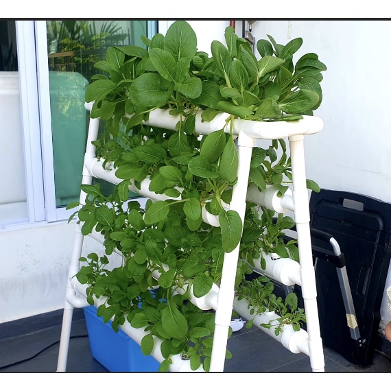 72 pot Hydroponics NFT System DIY Shopee Singapore