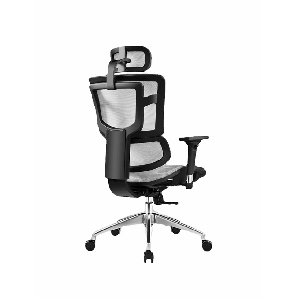 Ergomatics Zen Ergonomic Office Chair Shopee Singapore